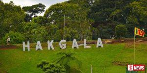 හක්ගල මල් වත්ත යළි විවෘත කෙරේ