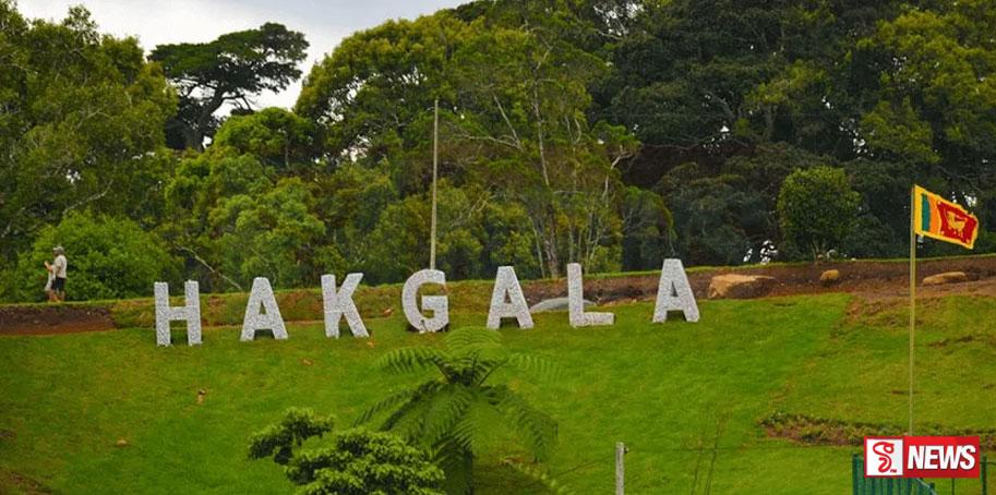 හක්ගල මල් වත්ත යළි විවෘත කෙරේ