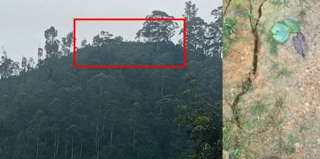 නායායාමේ අවදානමක් නිසා මරේ වතු යායේ පවුල් 71ක සාමාජිකයන් ඉවතට