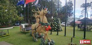 නත්තල සමරන්න විදේශිකයන් විශාල පිරිසක් නුවරඑළියට