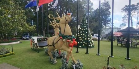 නත්තල සමරන්න විදේශිකයන් විශාල පිරිසක් නුවරඑළියට