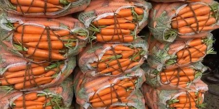 නුවරඑළියෙන් කොළඹට එළවළු කිලෝ ලක්ෂයක්