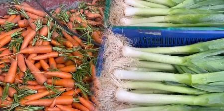 නුවරඑළියෙන් රට වටේටම එළවළු කිලෝ 88,000ක්