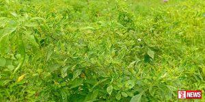 ඡනාධිපතිවරයා කිව්වත් බලධාරින්ගෙන් තවමත් සාධාරණයක් වුණේ නෑ