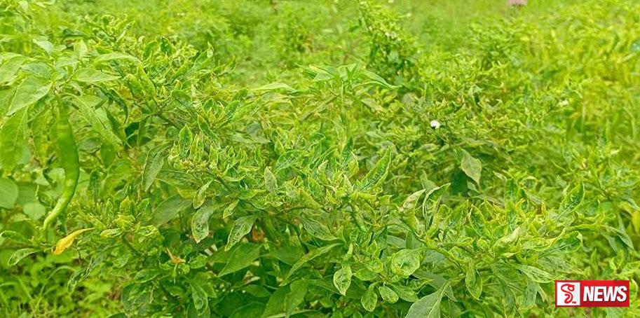 ඡනාධිපතිවරයා කිව්වත් බලධාරින්ගෙන් තවමත් සාධාරණයක් වුණේ නෑ