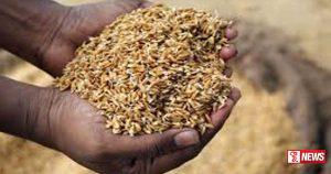 වී නිෂ්පාදනයේ ඉදිරි පියවර ගැන විශේෂ සාකච්ඡාවක්