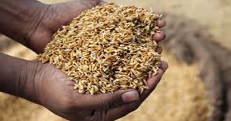 වී නිෂ්පාදනයේ ඉදිරි පියවර ගැන විශේෂ සාකච්ඡාවක්