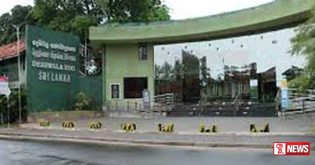 පරවියෙකු සොරකම් කළ සේවකයෙකු අත්අඩංගුවට