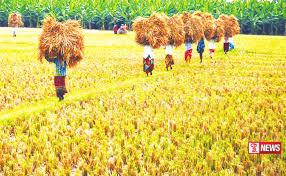 ගොවීන් වෙනුවෙන් රක්ෂණ මාසයක් ප්රකාශයට පත් කෙරේ