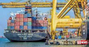 ශ්රී ලංකාවේ කාබනික අපනයන අංශයේ සැලකිය යුතු වර්ධනයක්