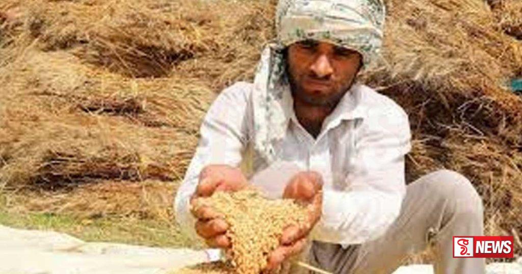 යේමනය දරුණුතම ආහාර අර්බුදයක