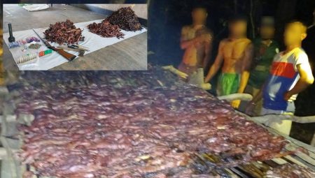 විල්පත්තුවේ මහා පරිමාණ දඩමස් ජාවාරමක්