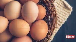 බිත්තර මිල ශීඝ්රයෙන් පහළට