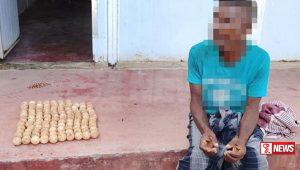 කැස්බෑ බිත්තර 117ක් සමග සැකකරුවෙක් අත්අඩංගුවට