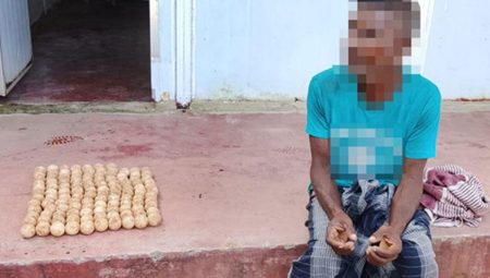 කැස්බෑ බිත්තර 117ක් සමග සැකකරුවෙක් අත්අඩංගුවට