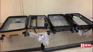 කෝටි අටකට අධික වටිනා කුෂ් සමග සැකකරුවෙක් අත්අඩංගුවට