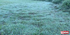 නුවරඑළියේ මල් තුහිණ