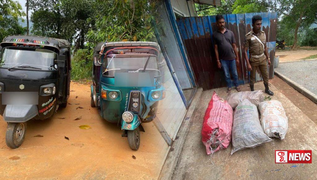 බලපත්රයක් නොමැතිව වල්ලපට්ටා ප්රවාහනය කළ හතරක් අත්අඩංගුවට