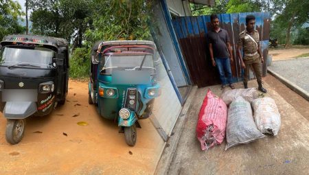 බලපත්රයක් නොමැතිව වල්ලපට්ටා ප්රවාහනය කළ හතරක් අත්අඩංගුවට