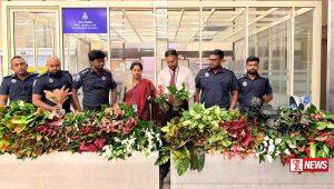 නීති විරෝධීව රැගෙන ආ ඇන්තූරියම් පැළ තොගයක් රේගු භාරයට