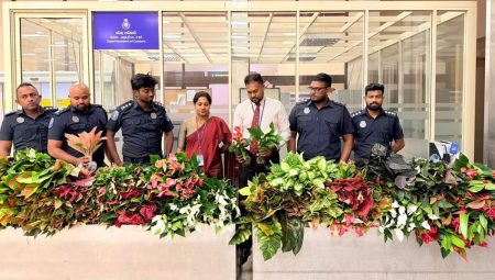 නීති විරෝධීව රැගෙන ආ ඇන්තූරියම් පැළ තොගයක් රේගු භාරයට