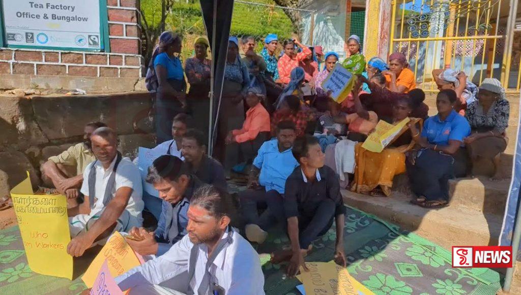 ගවරවිල වතුයායේ වතු කම්කරුවන් අට දෙනෙක් සත්යග්රහයක් අරඹයි
