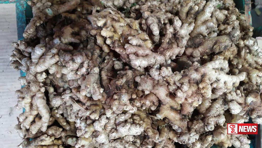 අමු ඉඟුරු මිල ඉහළට