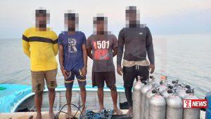 නීති විරෝධීව මුහුදු කූඩැල්ලන් ඇල්ලූ 7ක් අත්අඩංගුවට