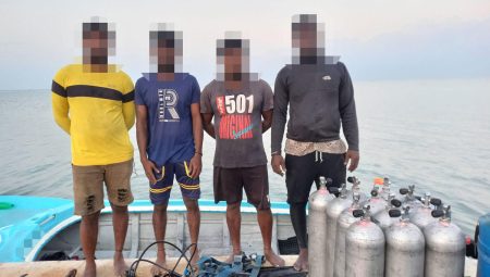 නීති විරෝධීව මුහුදු කූඩැල්ලන් ඇල්ලූ 7ක් අත්අඩංගුවට