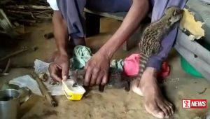 උගුඩු පැටවුන් දෙදෙනෙකුට වතු කම්කරුවෙකුගෙන් ලැබුණු සෙනෙහස