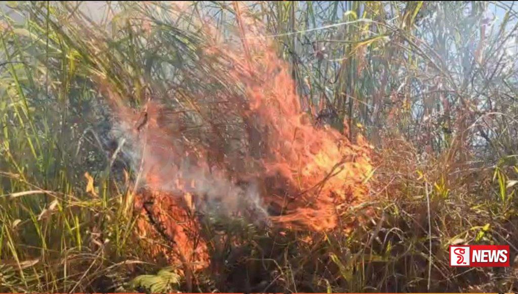 කඳුකරයේ රක්ෂිතවලට ගිනිතැබීම් ඉහළට