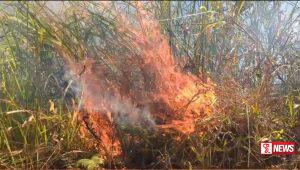 කඳුකරයේ රක්ෂිතවලට ගිනිතැබීම් ඉහළට