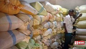 මිලක් නොමැතිකමින් ගොවීන් බඩඉරිඟු ඇට විකිණීම නවතලා