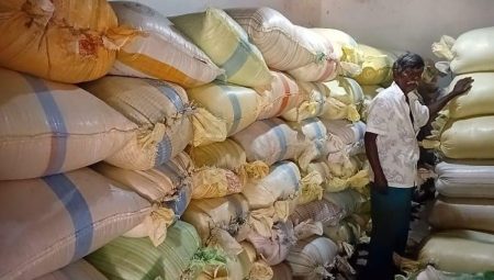 මිලක් නොමැතිකමින් ගොවීන් බඩඉරිඟු ඇට විකිණීම නවතලා