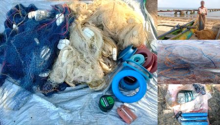 නීති විරෝධී ධීවර කටයුතුවල නියැලුණු 19ක් අත්අඩංගුවට