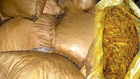 නීතිවිරෝධීව ගෙන ආ කහ තොගයක් අල්ලයි