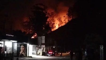 තේ වත්තේ රක්ෂිතයක ගින්නකින් අක්කර 10ක් විනාශයි