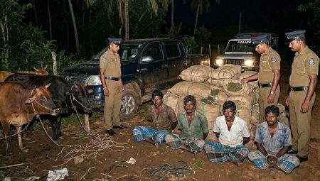 හරක් හොරු ගංජත් එක්කම අත්අඩංගුවට