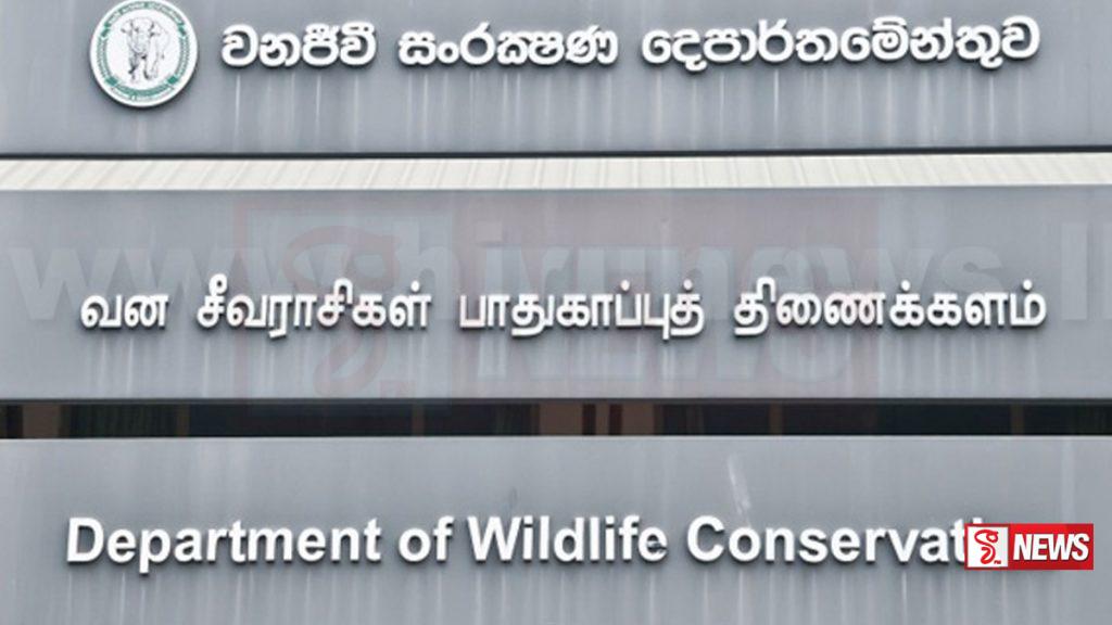 වනජීවි නිලධාරීන් වෘත්තීය ක්රියාමාර්ගයක