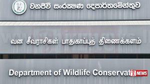 වනජීවි නිලධාරීන් වෘත්තීය ක්රියාමාර්ගයක