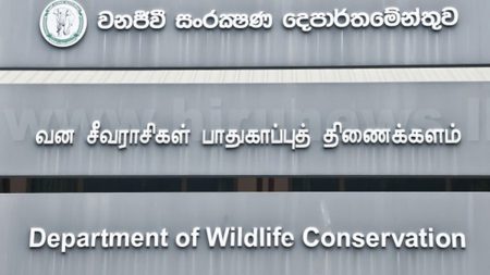 වනජීවි නිලධාරීන් වෘත්තීය ක්රියාමාර්ගයක