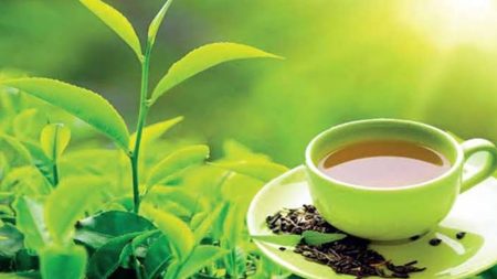 සිලෝන් ටී ව්යාපෘතිය දිස්ත්රීක්ක 12 කින් ඇරඹෙයි