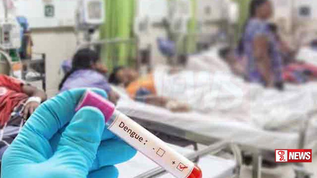 ගතවූ පැය 24 තුළ ඩෙංගු මරණ 3ක් වාර්තා වෙයි