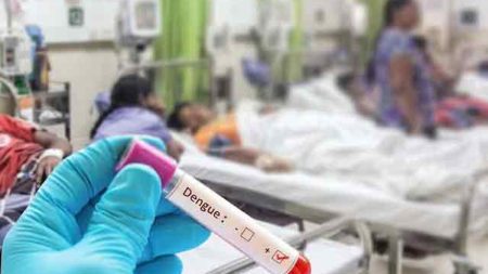ගතවූ පැය 24 තුළ ඩෙංගු මරණ 3ක් වාර්තා වෙයි