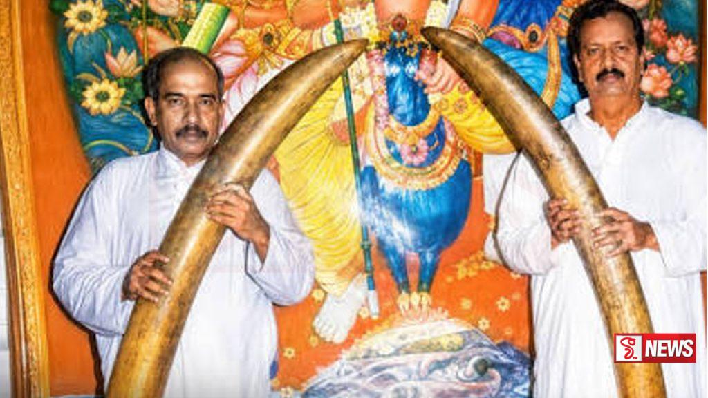 කඩොල් හස්තියාගේ දළ ප්රදර්ශනය අද කතරගමදී