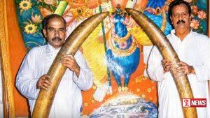කඩොල් හස්තියාගේ දළ ප්රදර්ශනය අද කතරගමදී