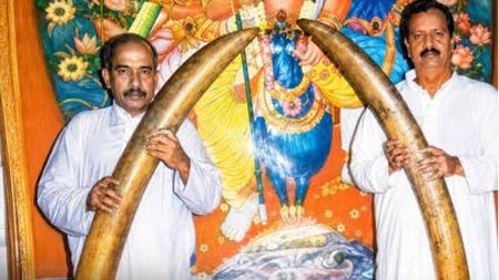 කඩොල් හස්තියාගේ දළ ප්රදර්ශනය අද කතරගමදී