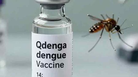 ඉන්දියාව පළමු ඩෙංගු එන්නත අනුමත කරයි