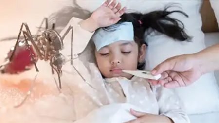 ඩෙංගු රෝගීන්ගෙන් සියයට 30 ක් බාලවයස්කරුවන් බවට සෞඛ්ය අංශවලින් අනාවරණයක්