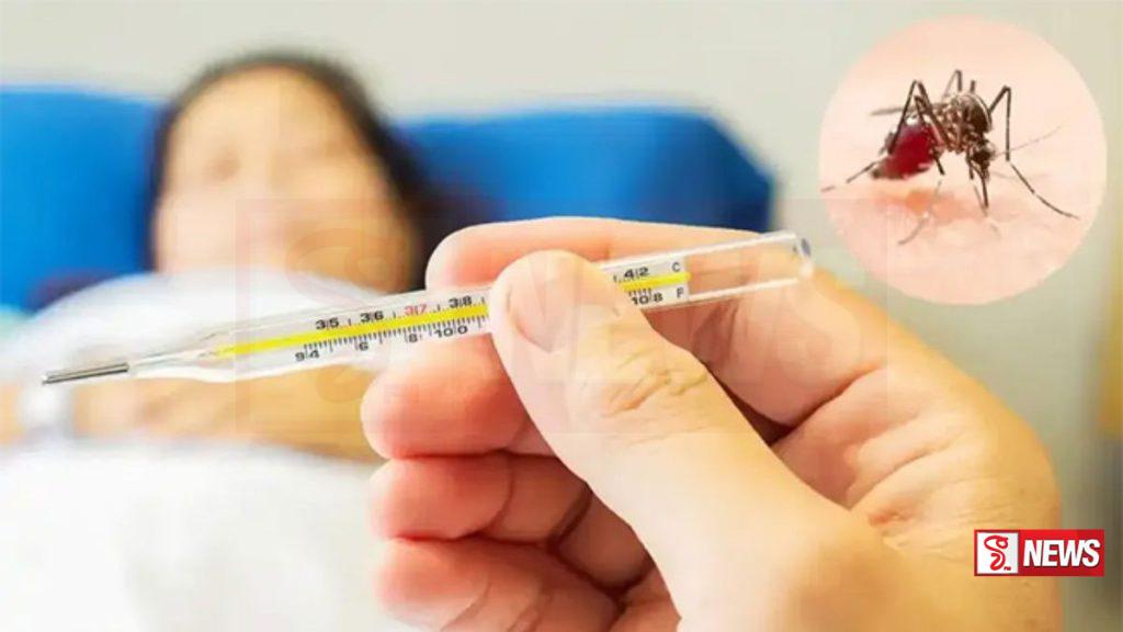 ඩෙංගු රෝගීන් තවදුරටත් ඉහළට